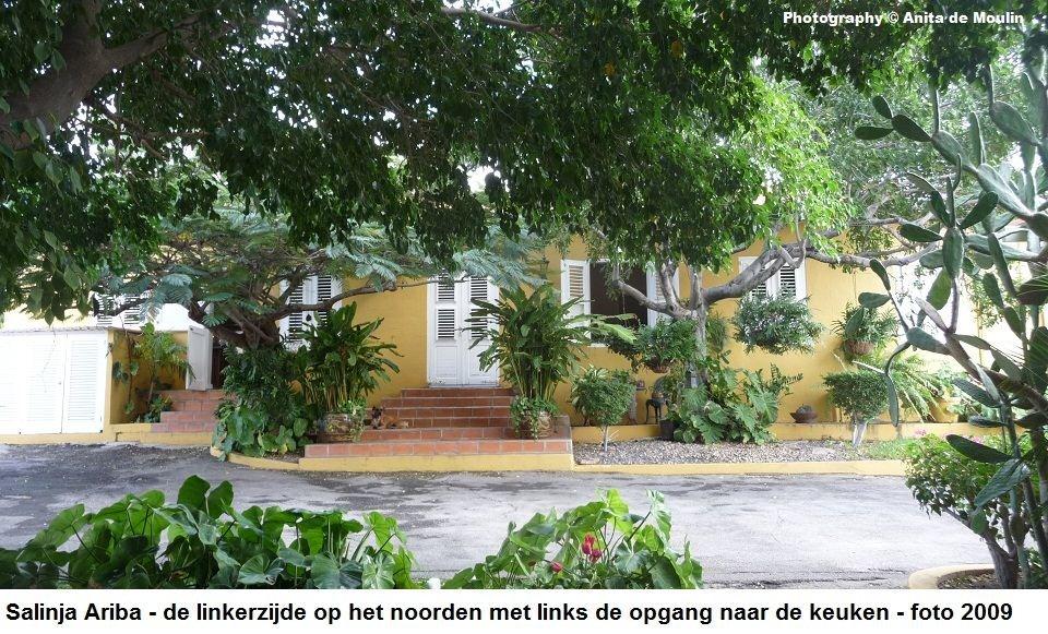 23. Salinja Ariba linkerzijde op het noorden 2009